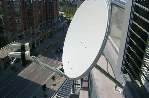 ���ӽ�Ŀ��̬