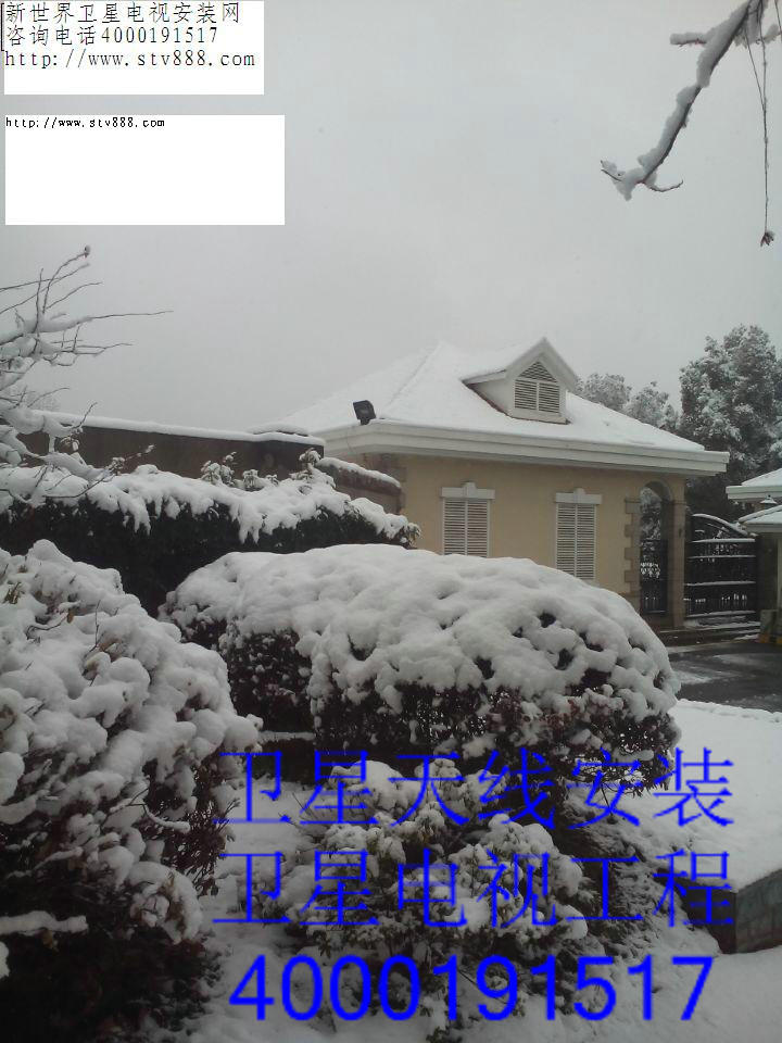 �����оŶ�̬